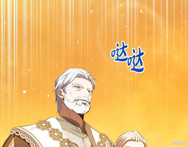 第 219 页