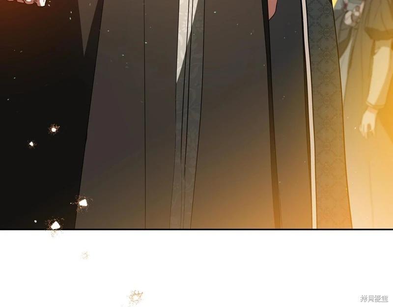 第 221 页