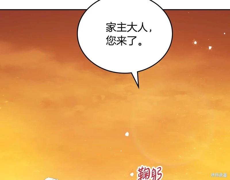 第 223 页