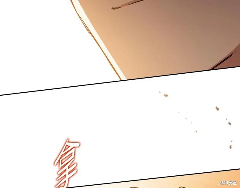 第 113 页