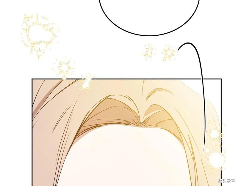 第 238 页