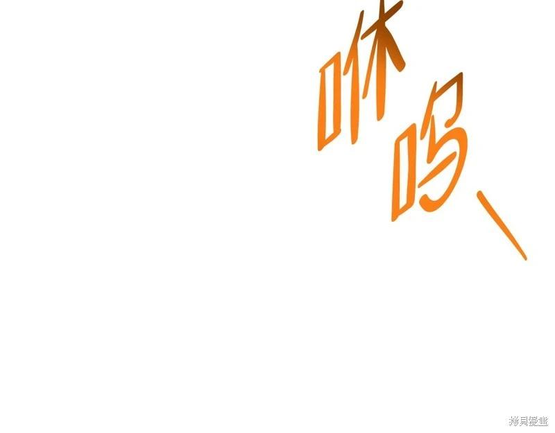 第 241 页