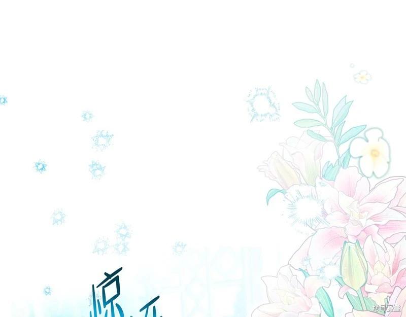 第 242 页