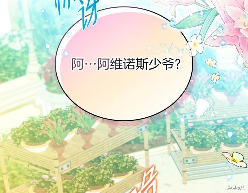 第 243 页