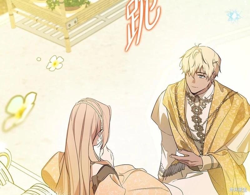第 244 页