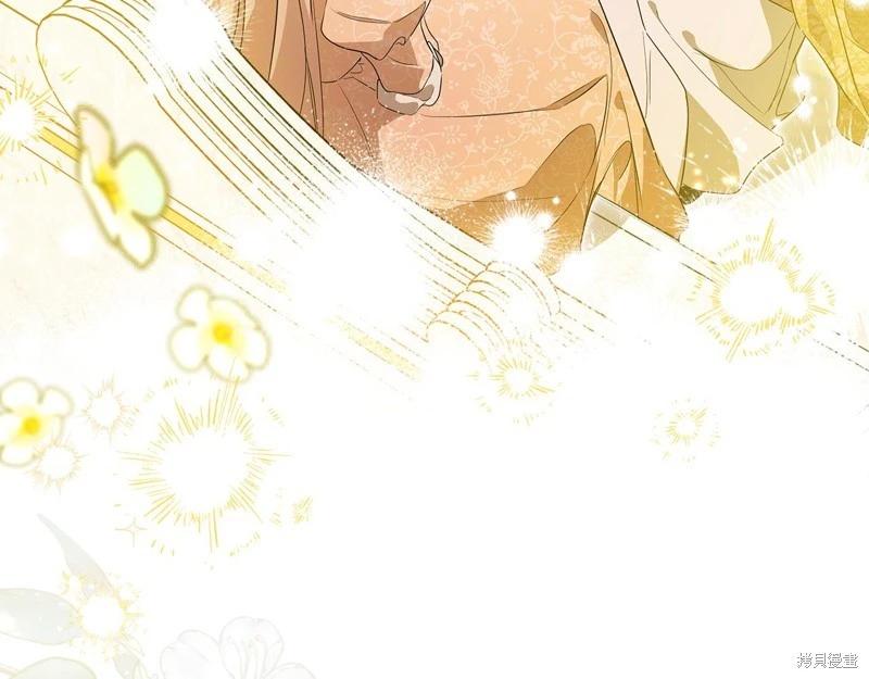 第 245 页