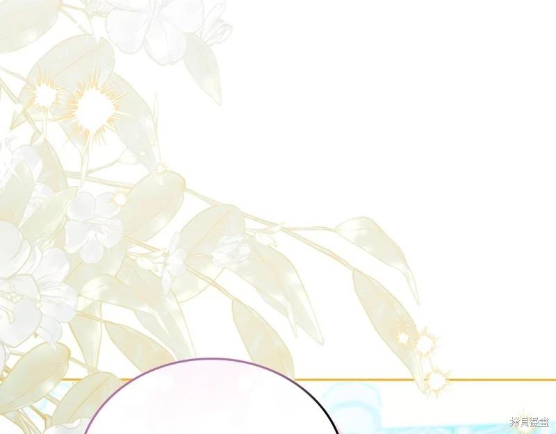 第 246 页