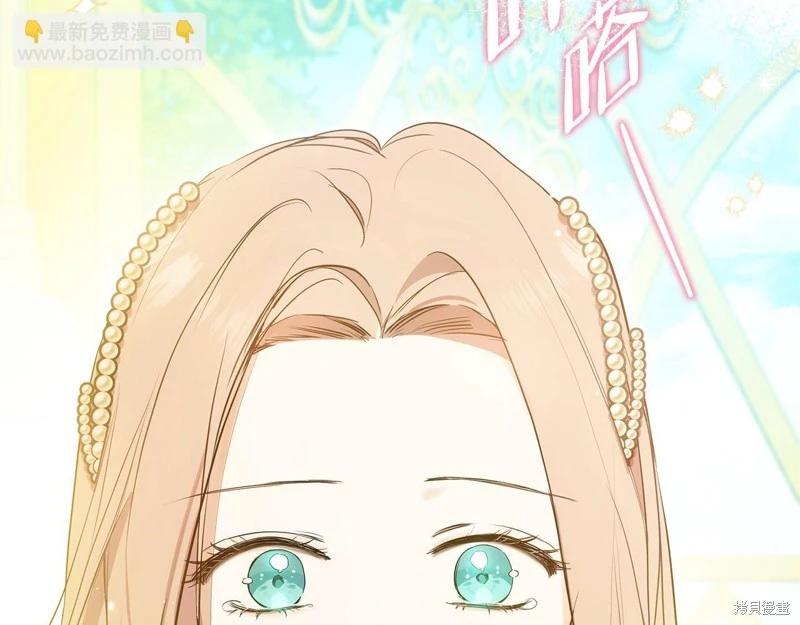 第 251 页