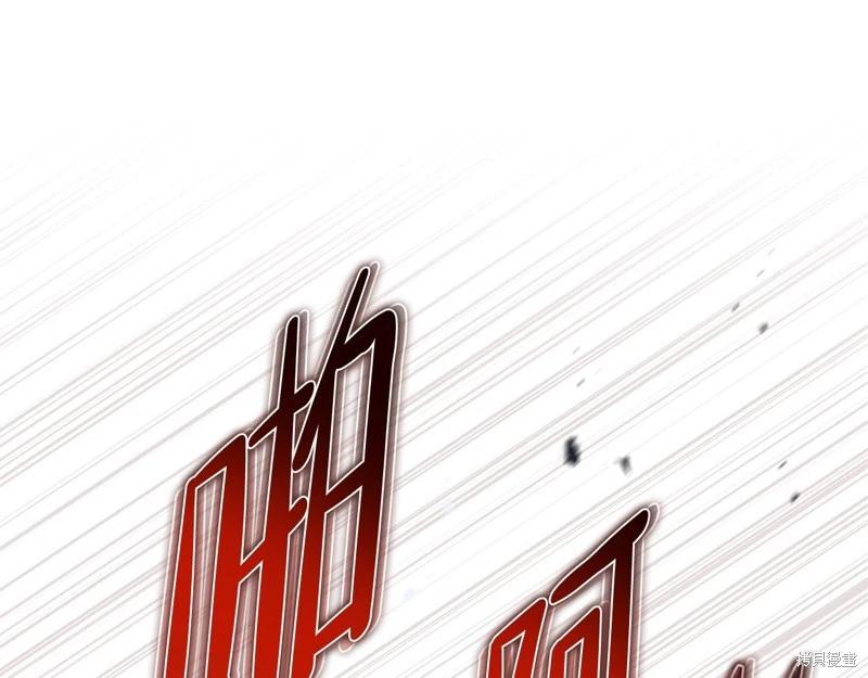第 111 页
