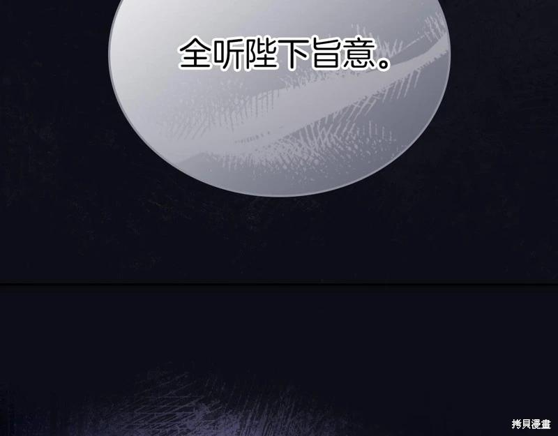 第 205 页