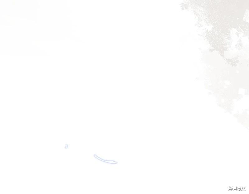 第 216 页