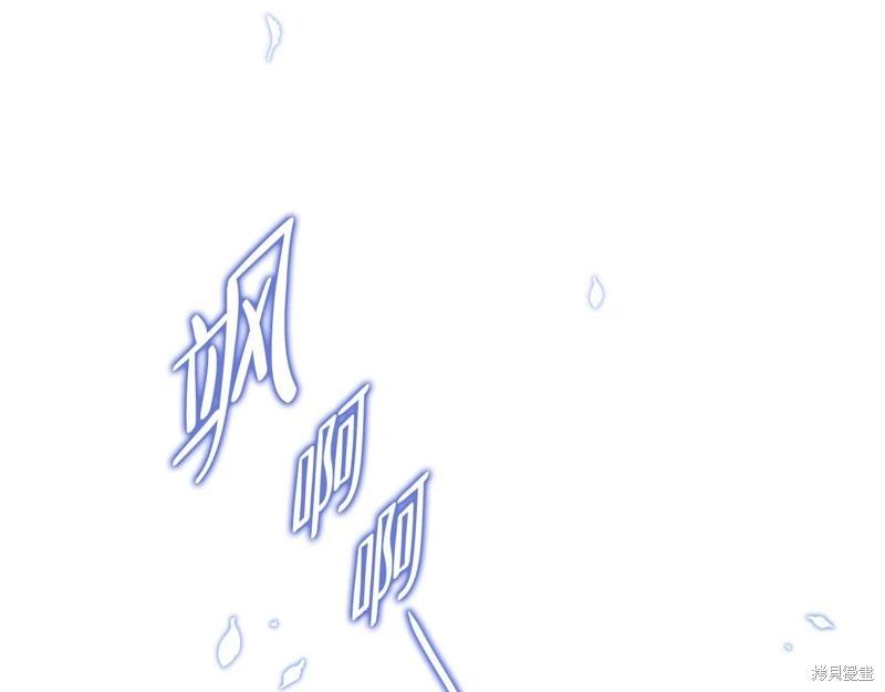 第 217 页