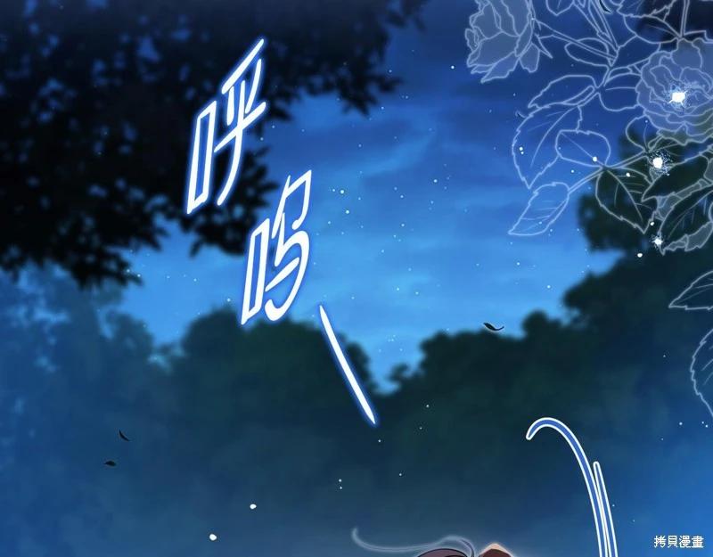 第 224 页