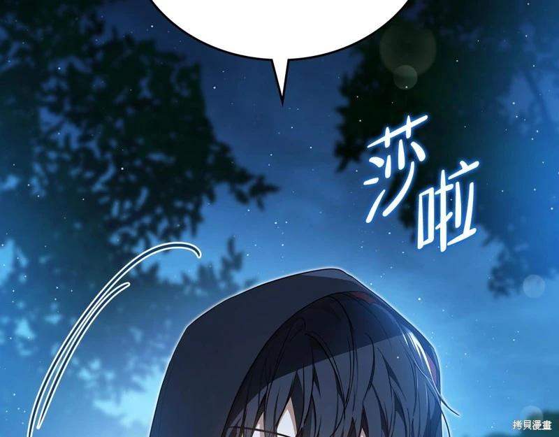 第 238 页
