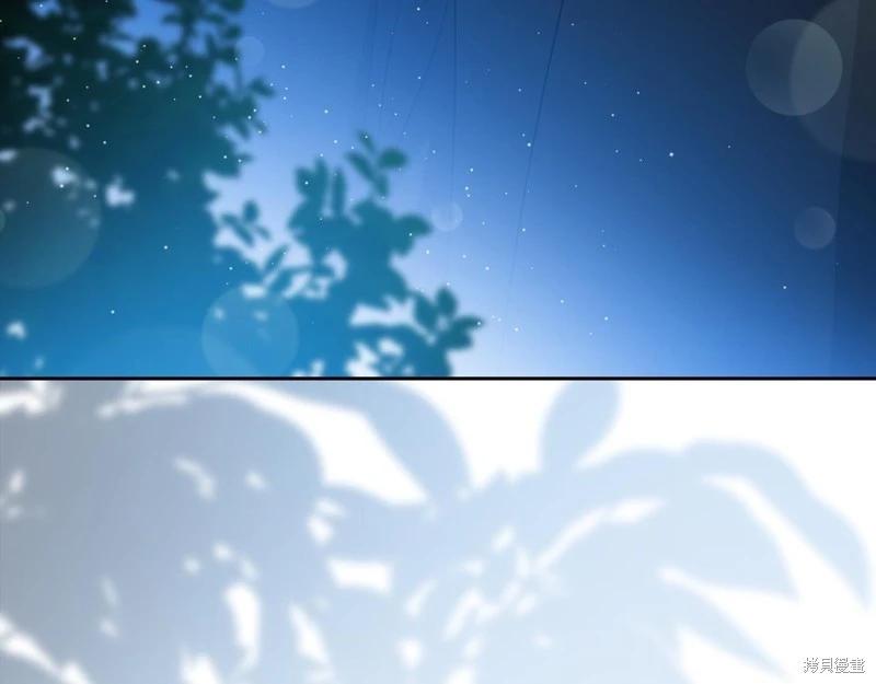 第 241 页