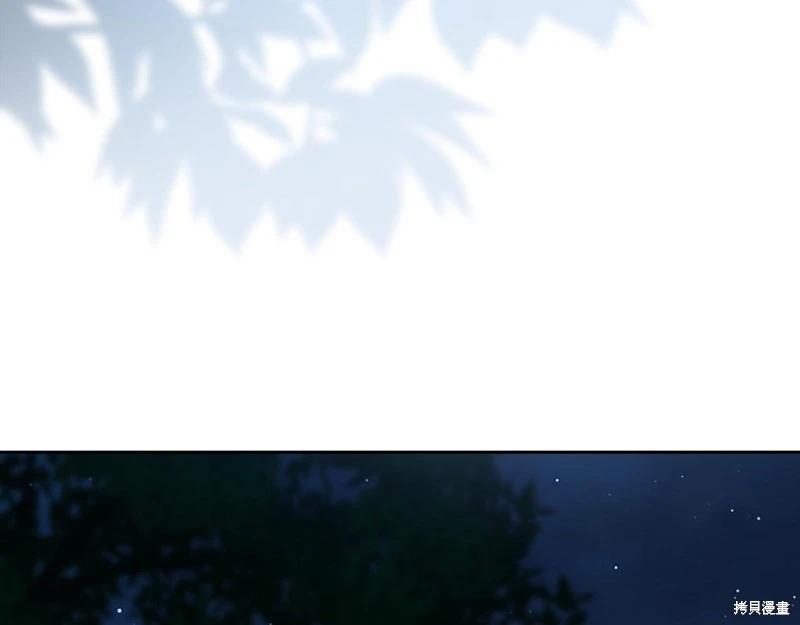 第 242 页