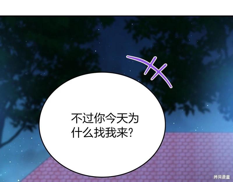 第 251 页
