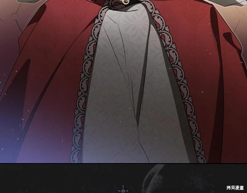 第 213 页
