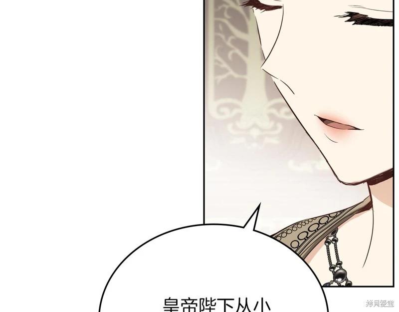 第 236 页