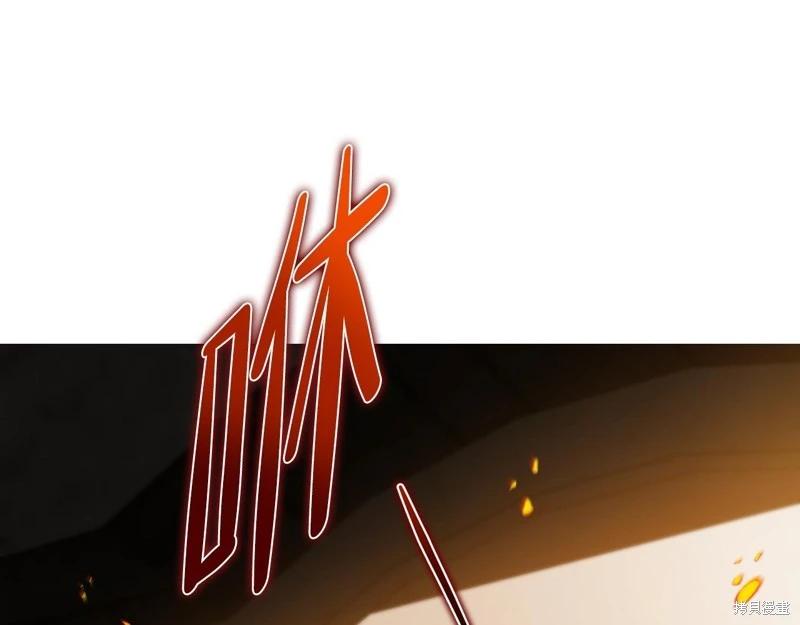 第 244 页