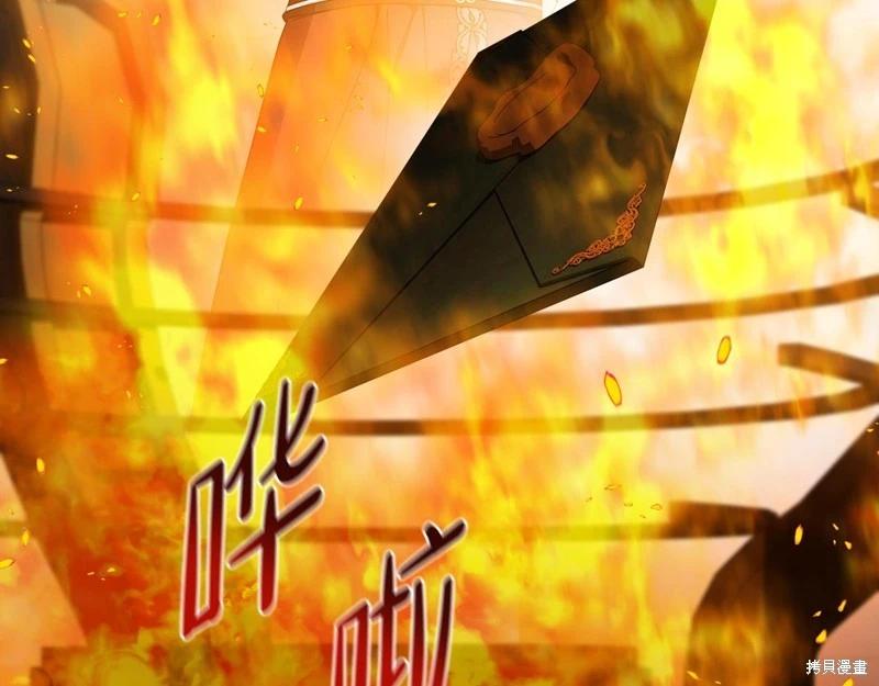 第 246 页