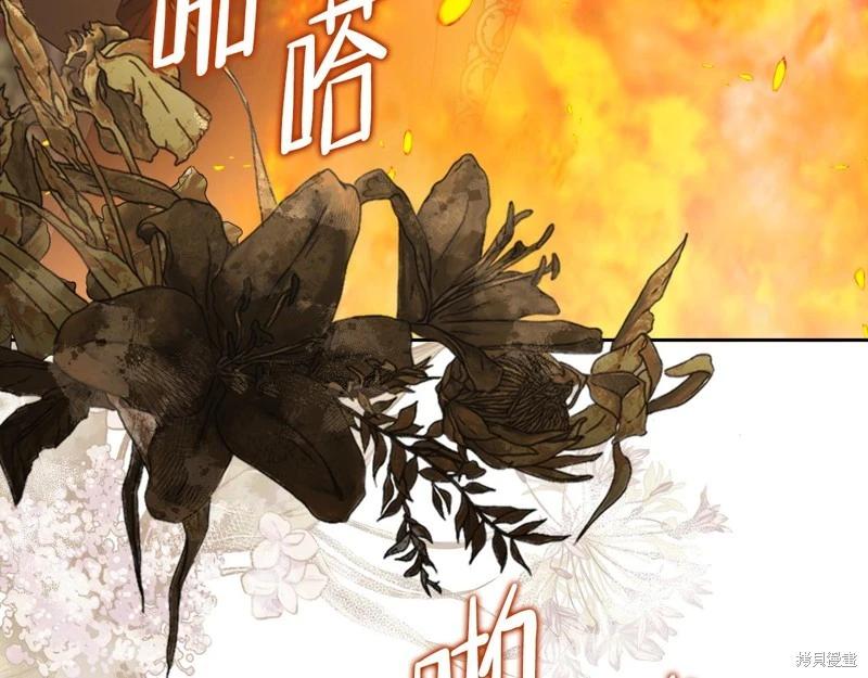 第 256 页