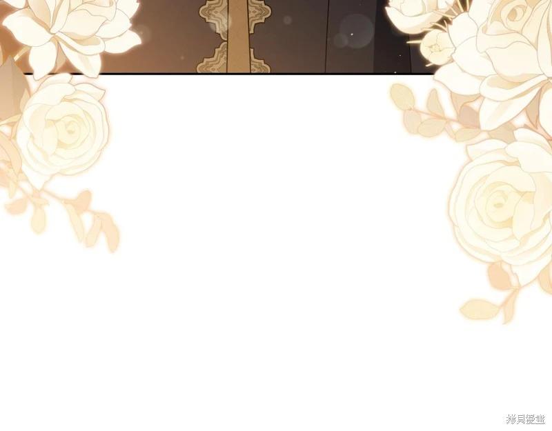 第 213 页