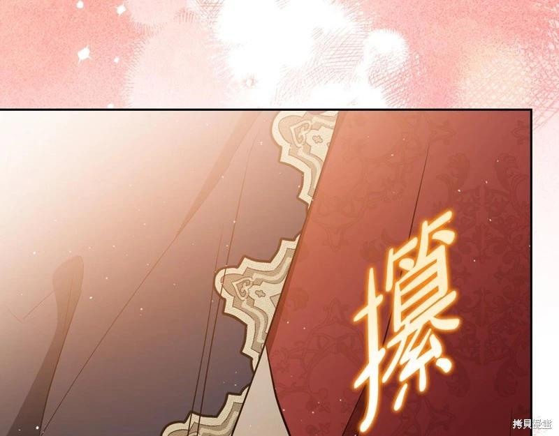 第 219 页