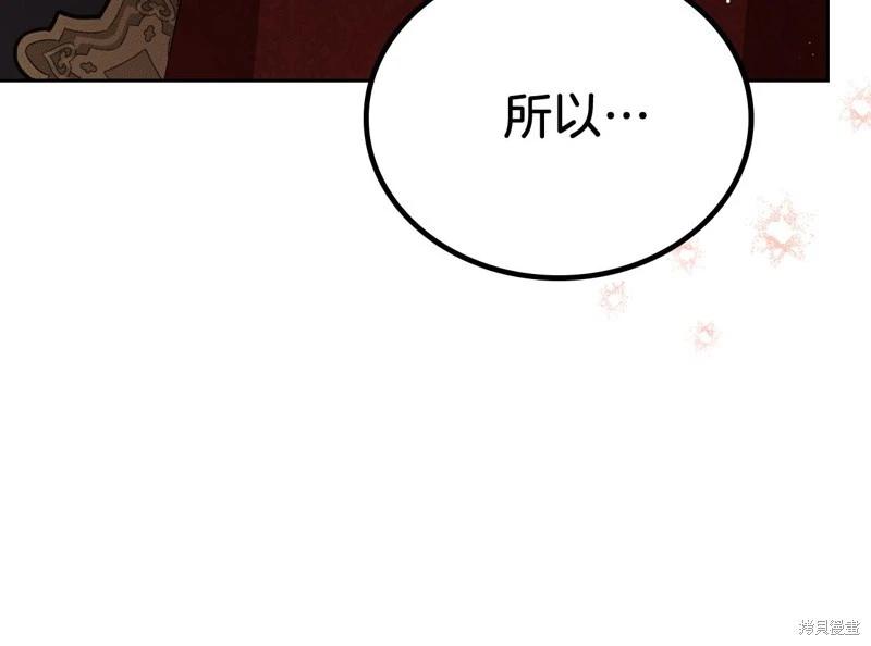 第 221 页