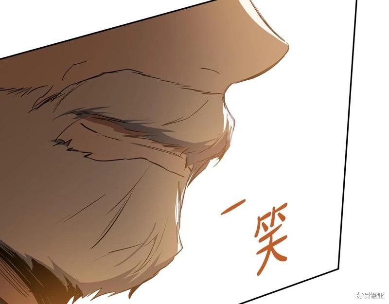 第 238 页