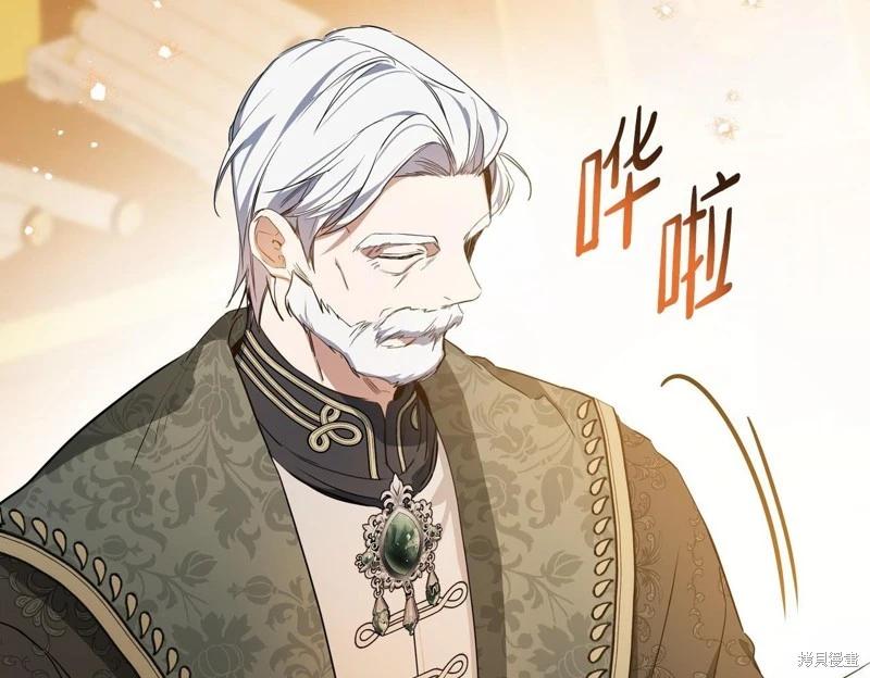 第 243 页