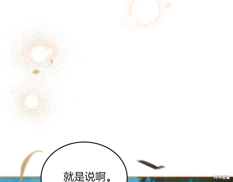 第 248 页