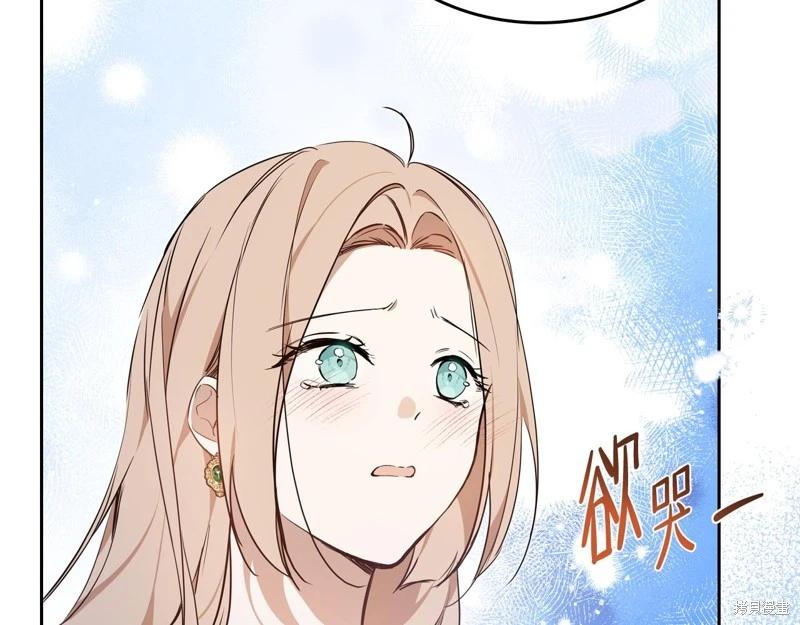第 101 页