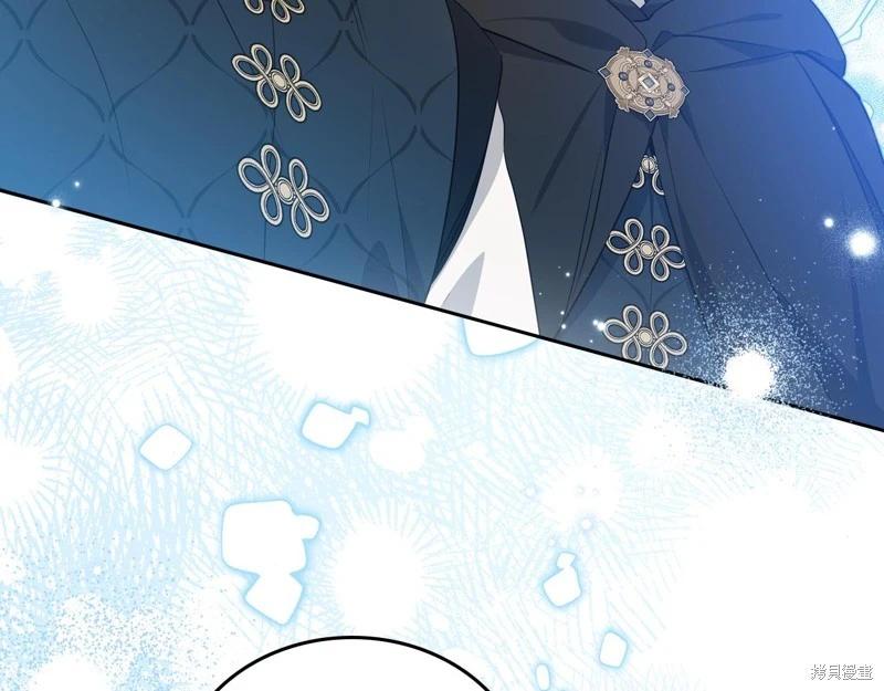 第 121 页