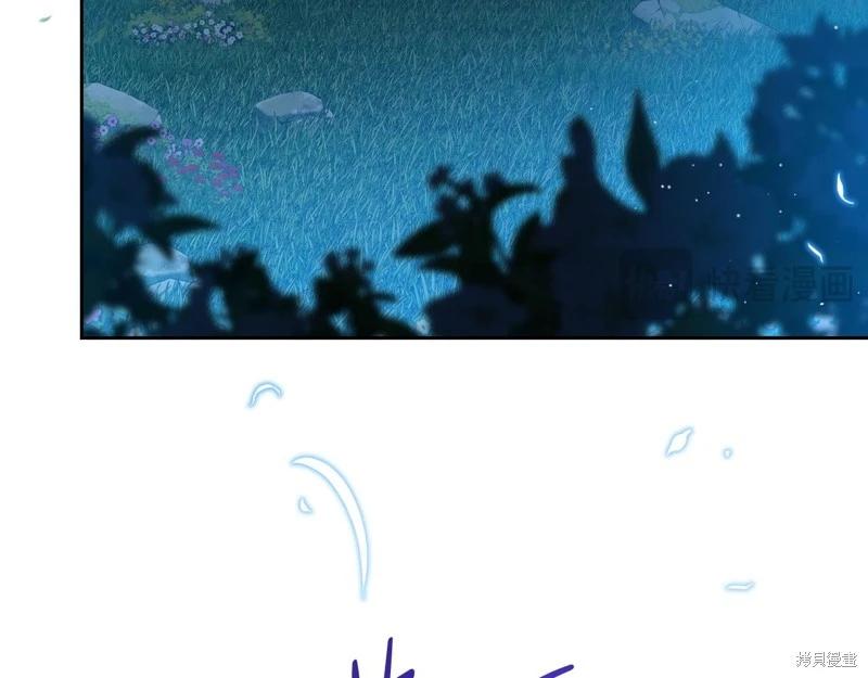 第 146 页