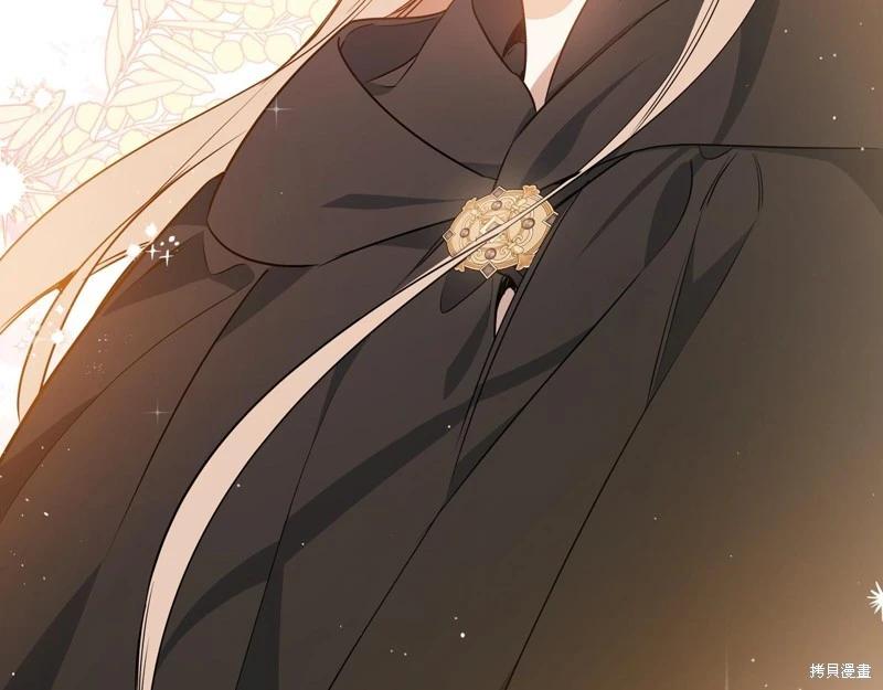 第 204 页