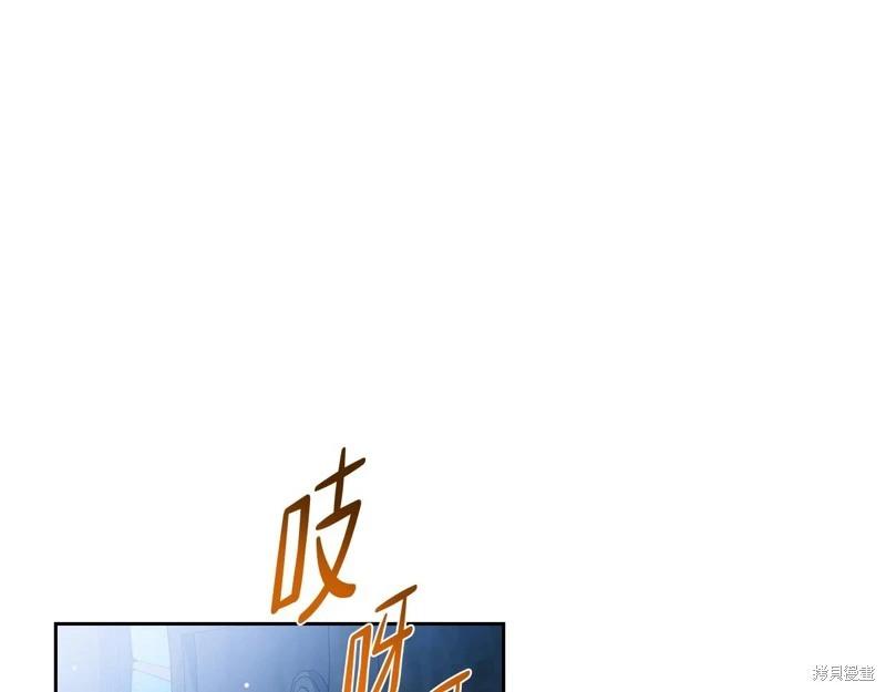 第 207 页
