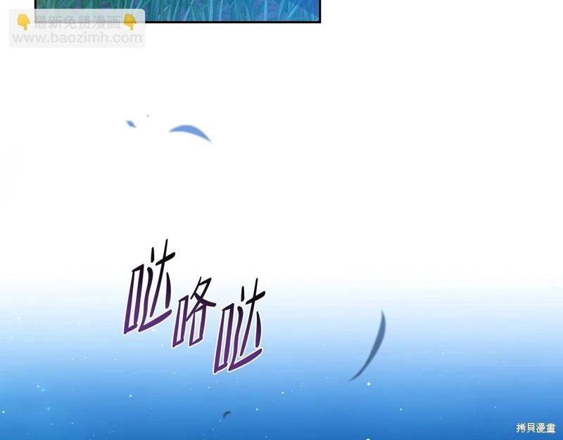 第 209 页