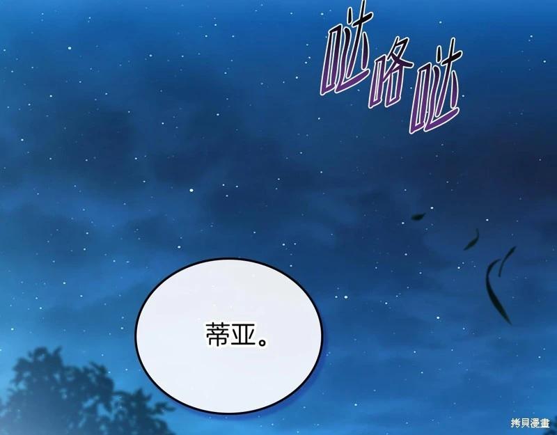 第 210 页