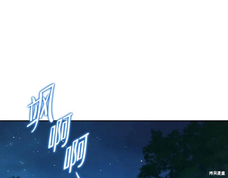第 217 页