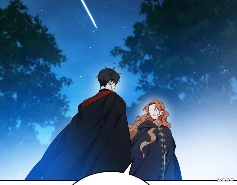 第 218 页