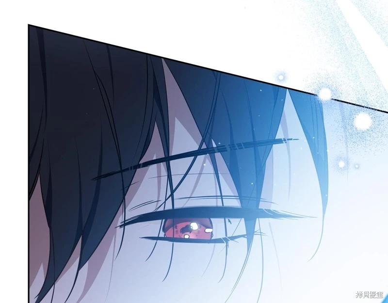 第 223 页