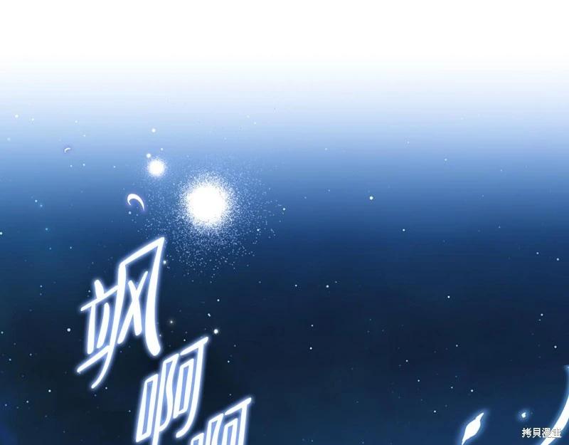 第 228 页