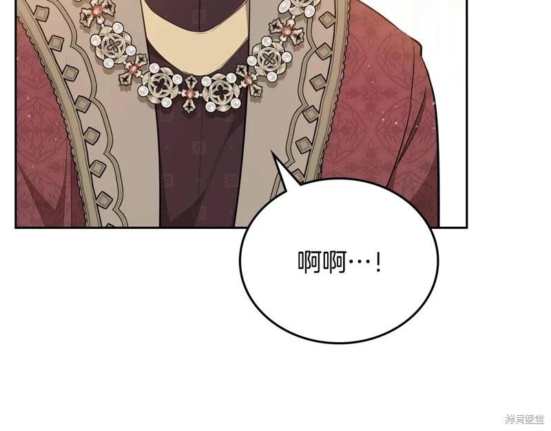 第 223 页