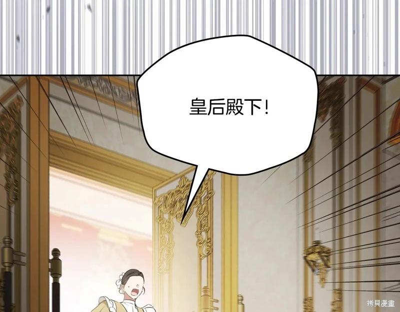 第 239 页