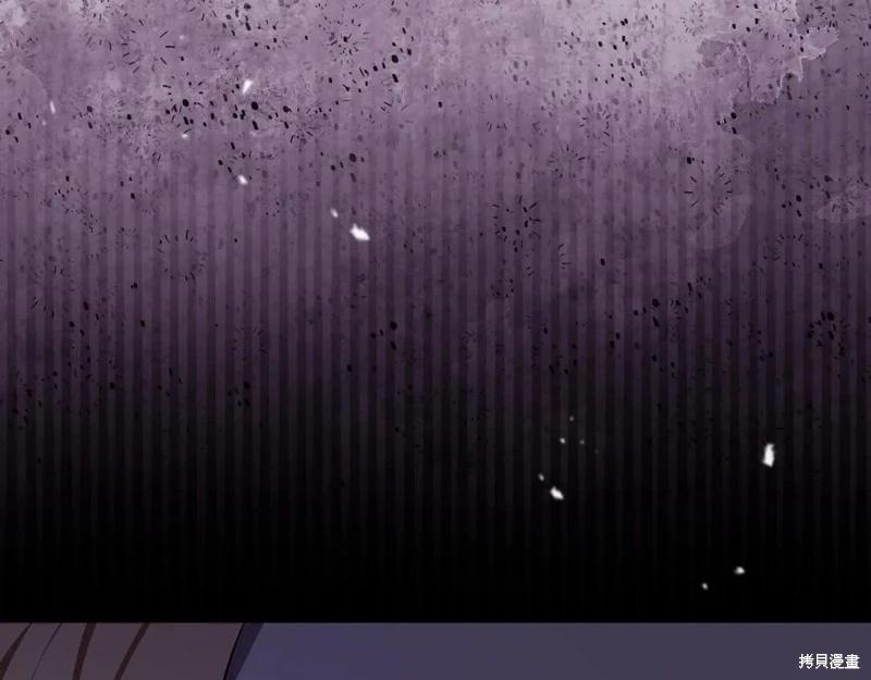 第 245 页