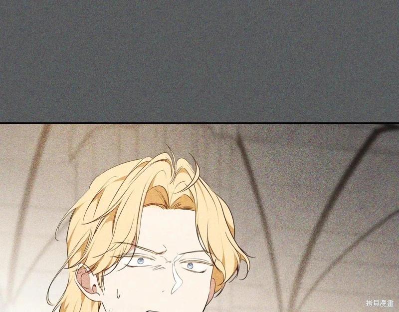 第 195 页
