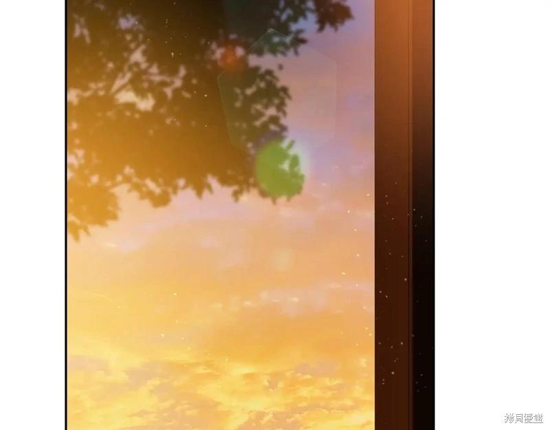 第 204 页