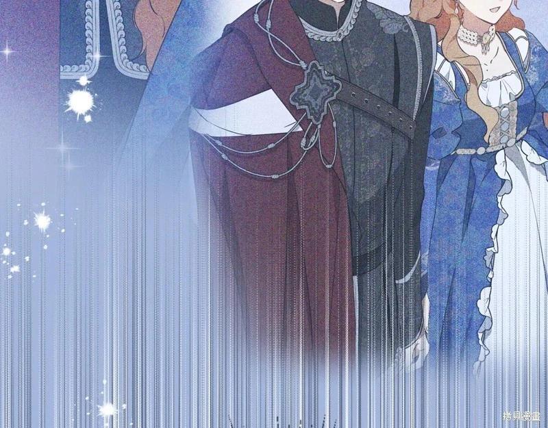 第 213 页