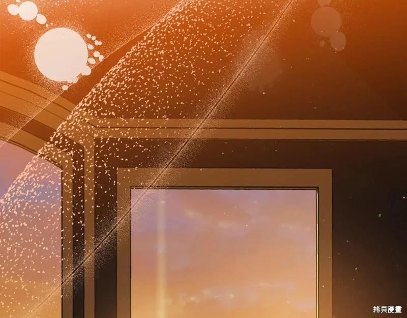 第 239 页